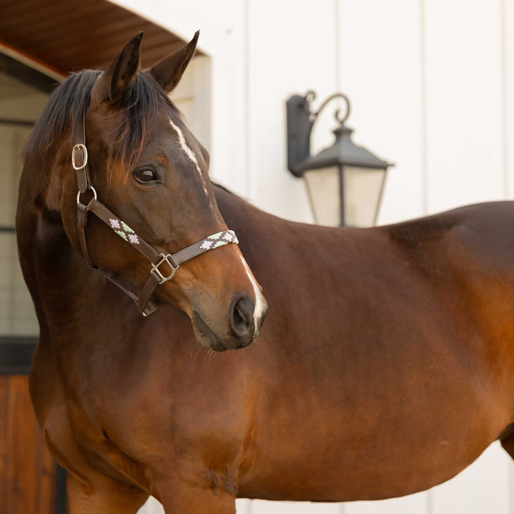 Equinavia Siri Polo Leather Halter image #3