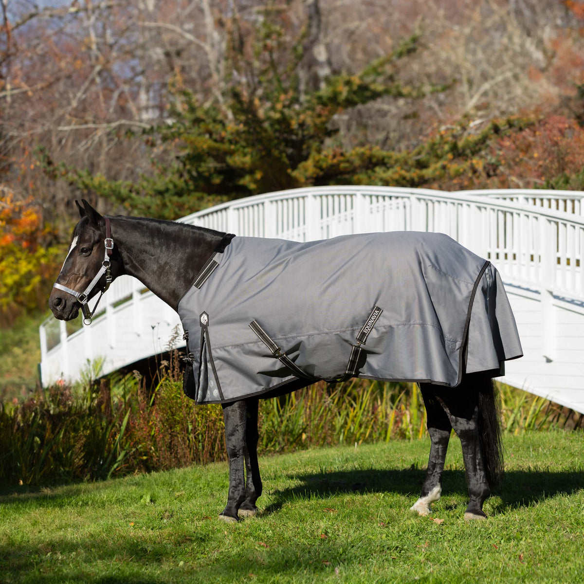 Equinavia Arktis Regular Neck Light Weight Turnout Blanket 100g image #2