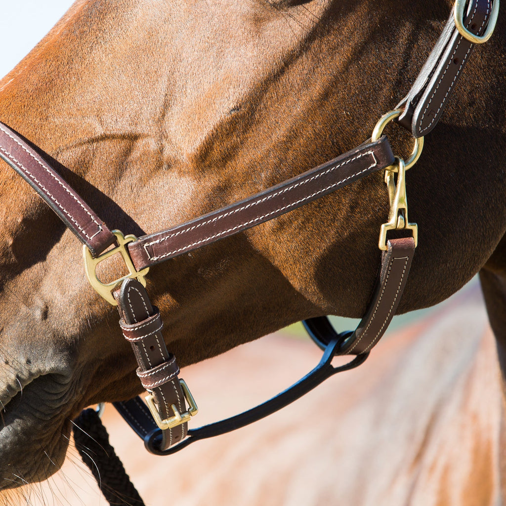 Horze Fremont Leather Horse Halter image #4