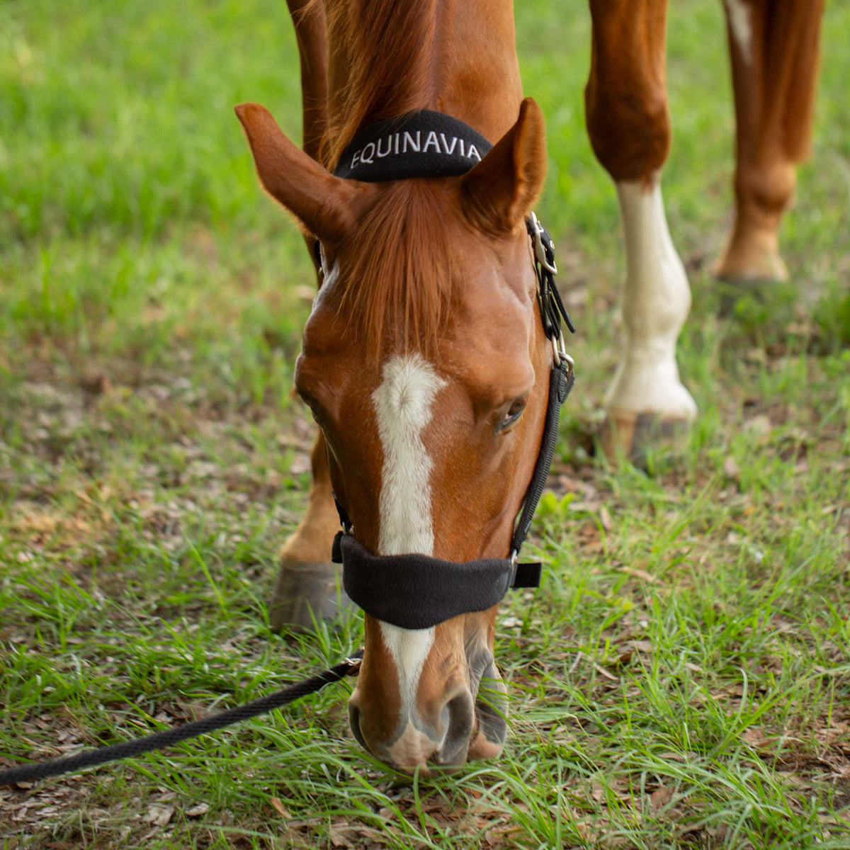 Equinavia Saga Fleece Padded Breakaway Halter image #3