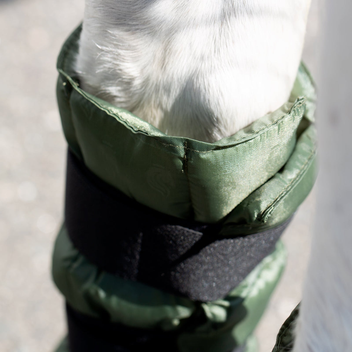 Equinavia Cool Relief Therapy Ice Wrap image #6