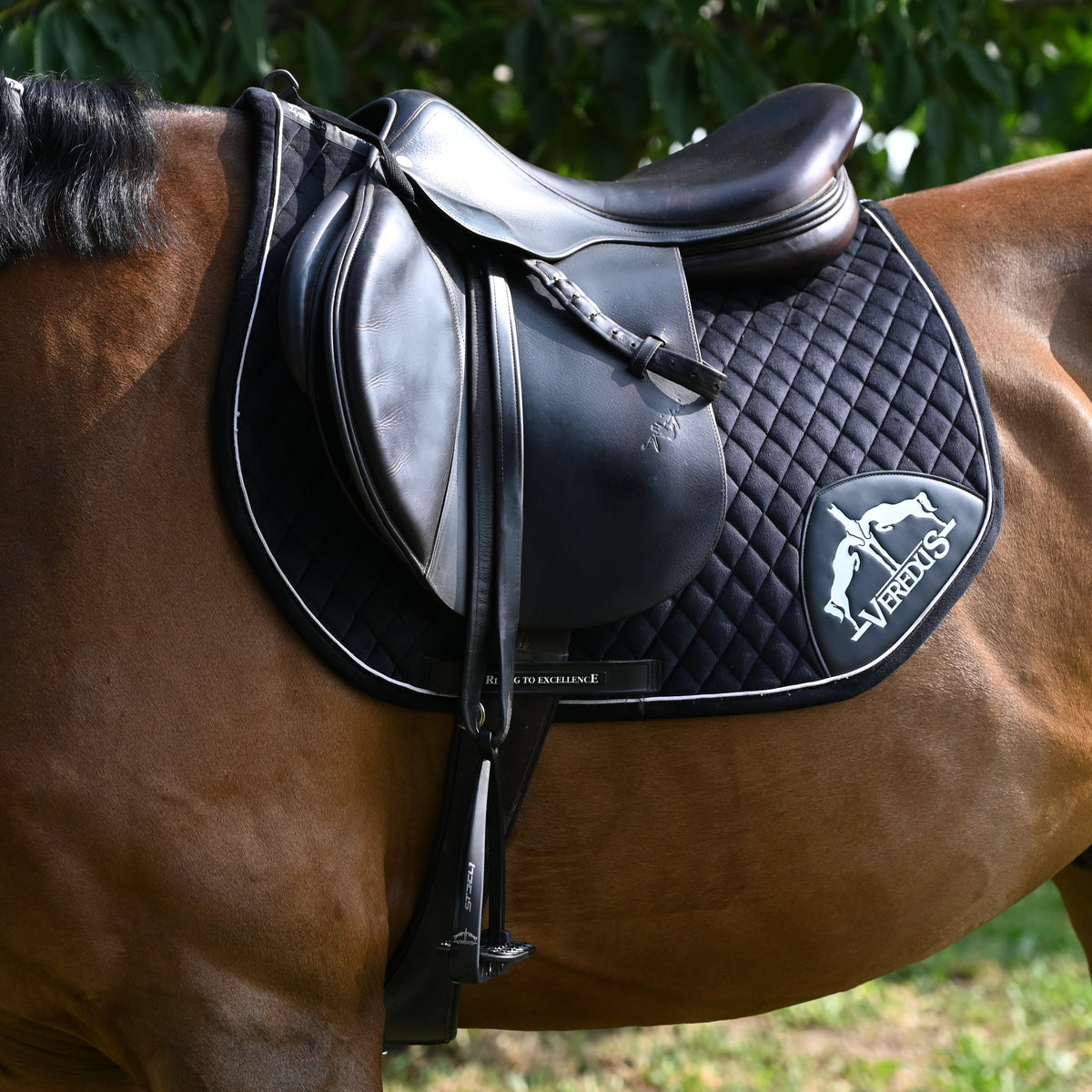 Veredus Vita Stirrup Steel1 Dark image #18