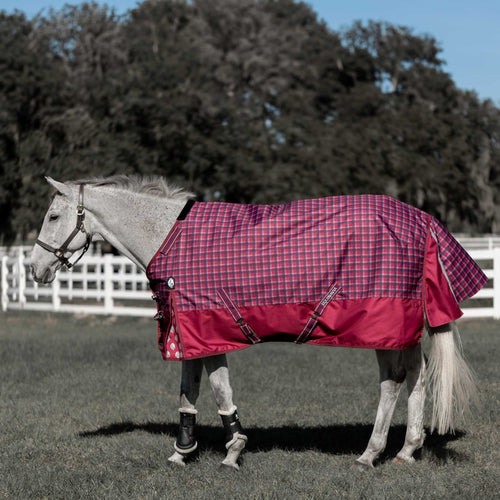 Equinavia Arktis Regular Neck Turnout Sheet image #1