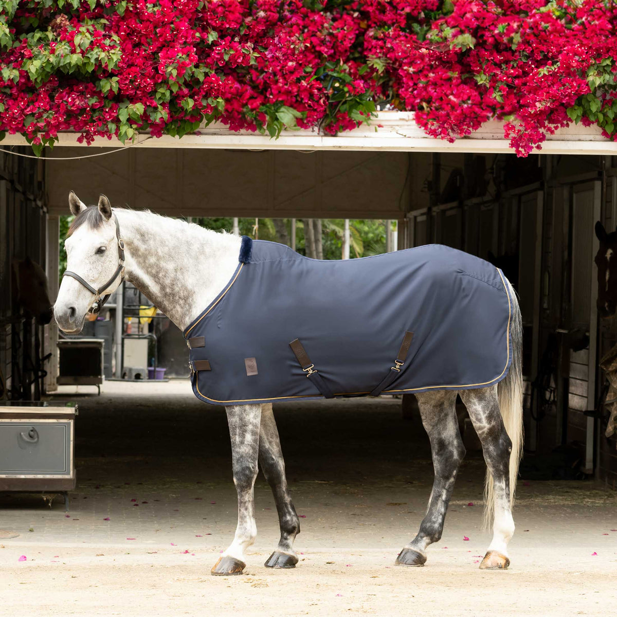 Equinavia Vind Stable Sheet image #1
