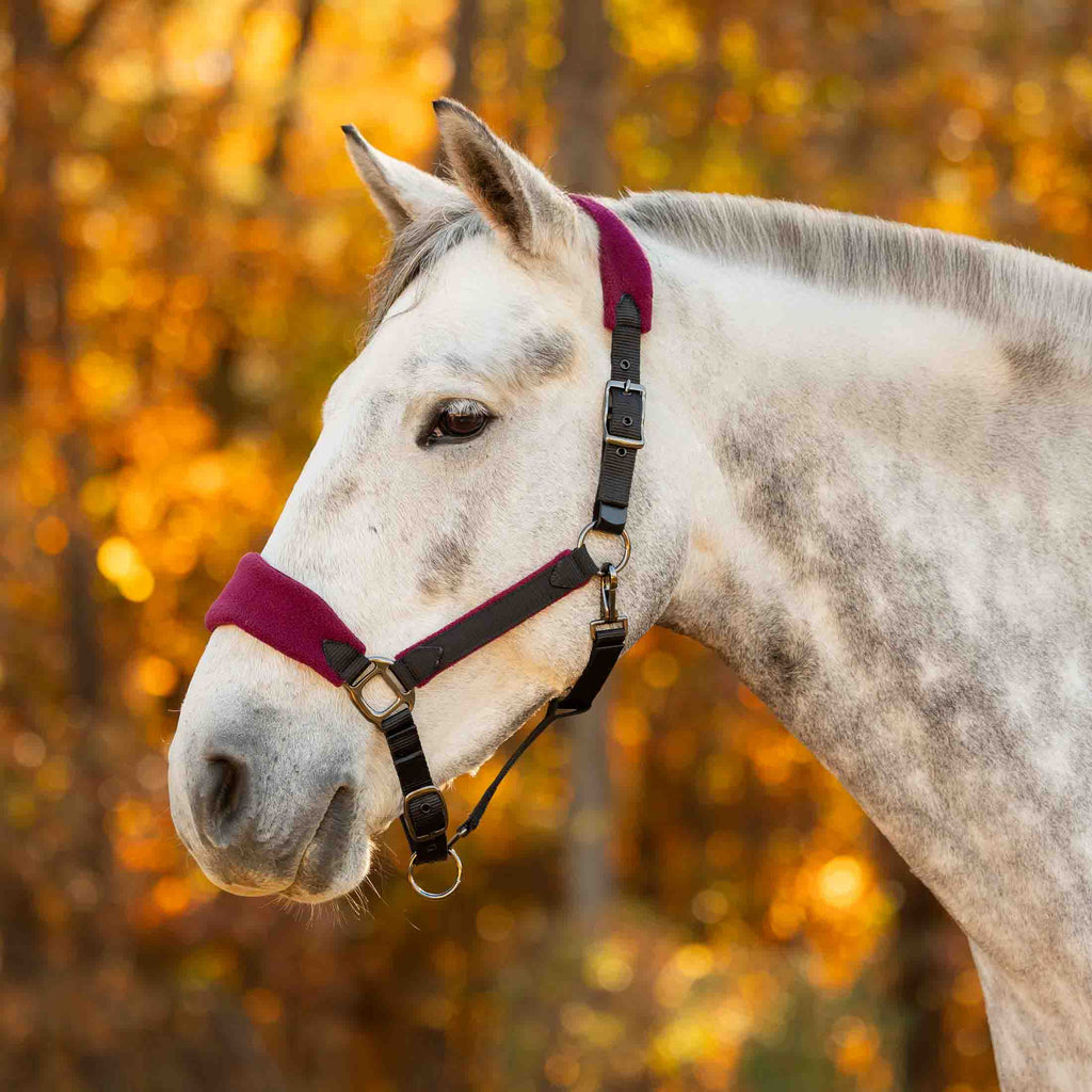 Equinavia Saga Fleece Padded Breakaway Halter image #1