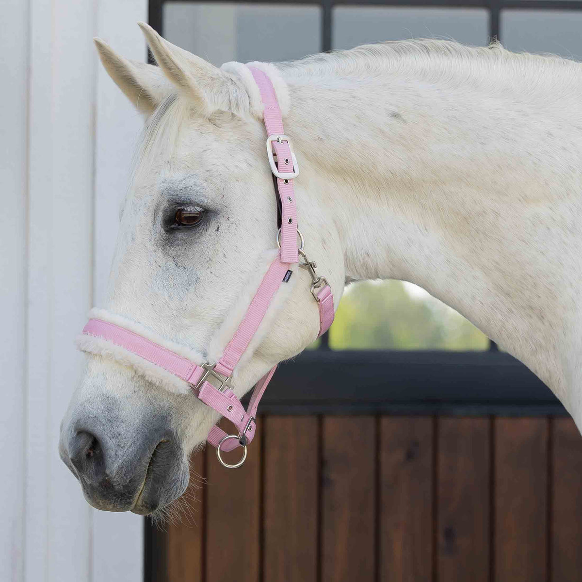 Equinavia Valkyrie Ultra Fleece Breakaway Halter image #1