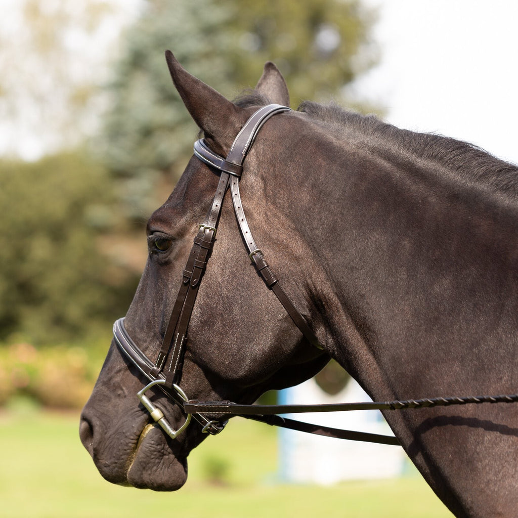 Equinavia Saga Fancy Stitched Hunter Bridle & Reins image #4