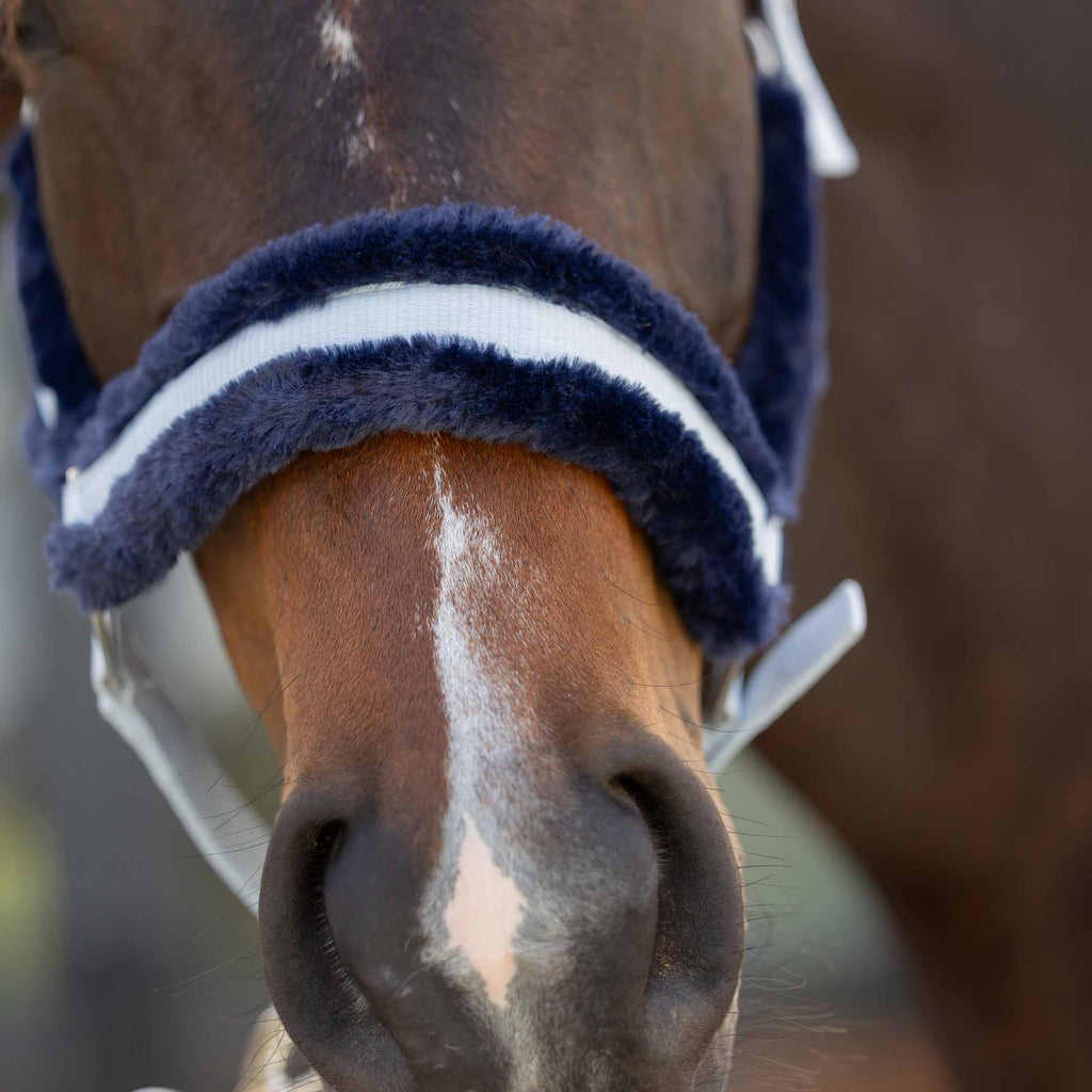 Equinavia Valkyrie Ultra Fleece Breakaway Halter image #3