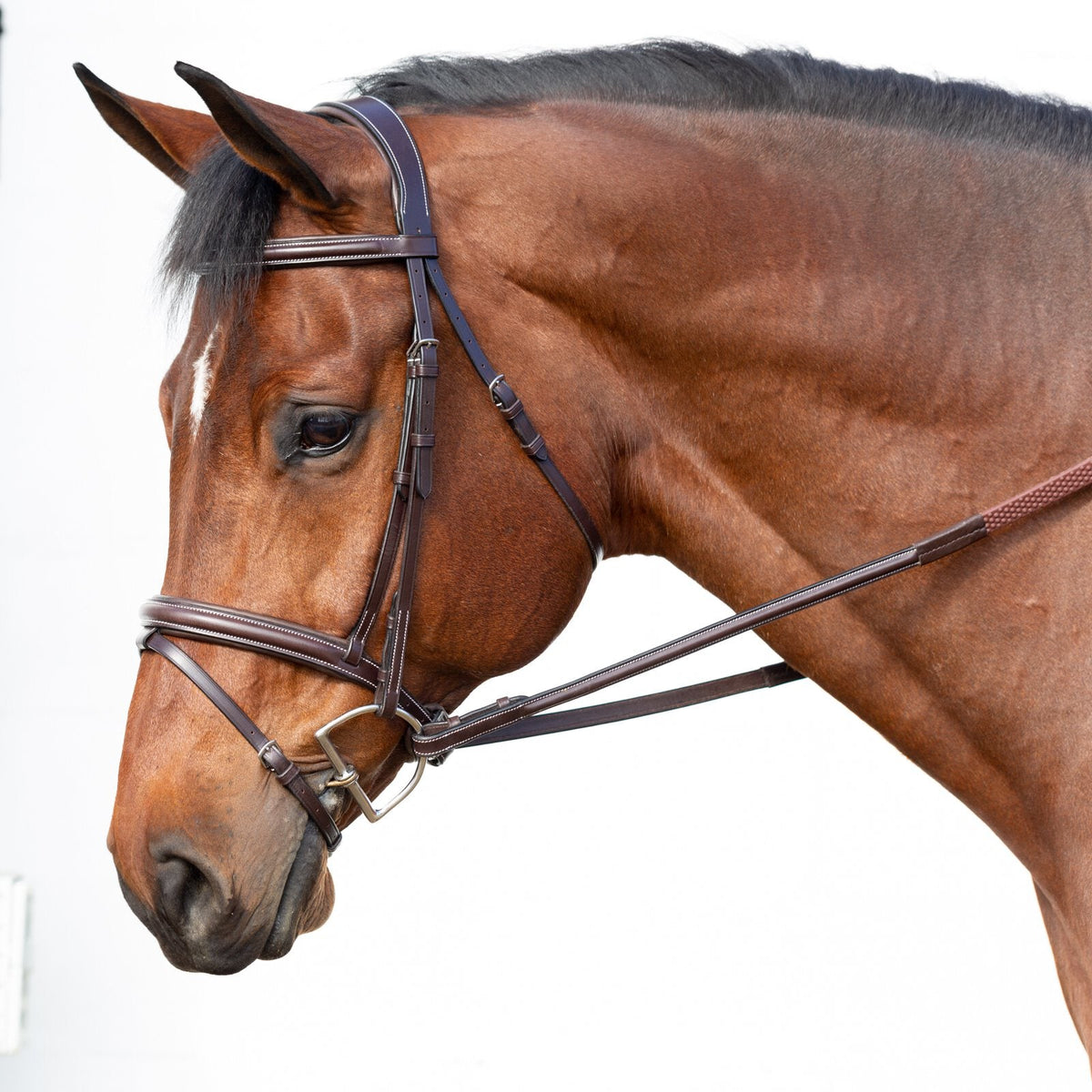 Equinavia Valkyrie Fancy Stitched Jumper Bridle & Rubber Reins image #3