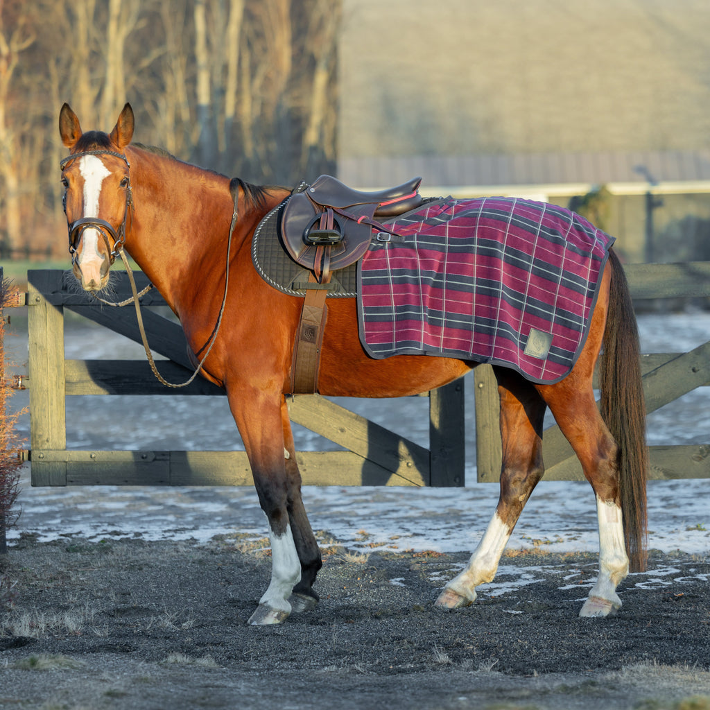 Equinavia Norse Fleece Exercise Quarter Sheet image #2