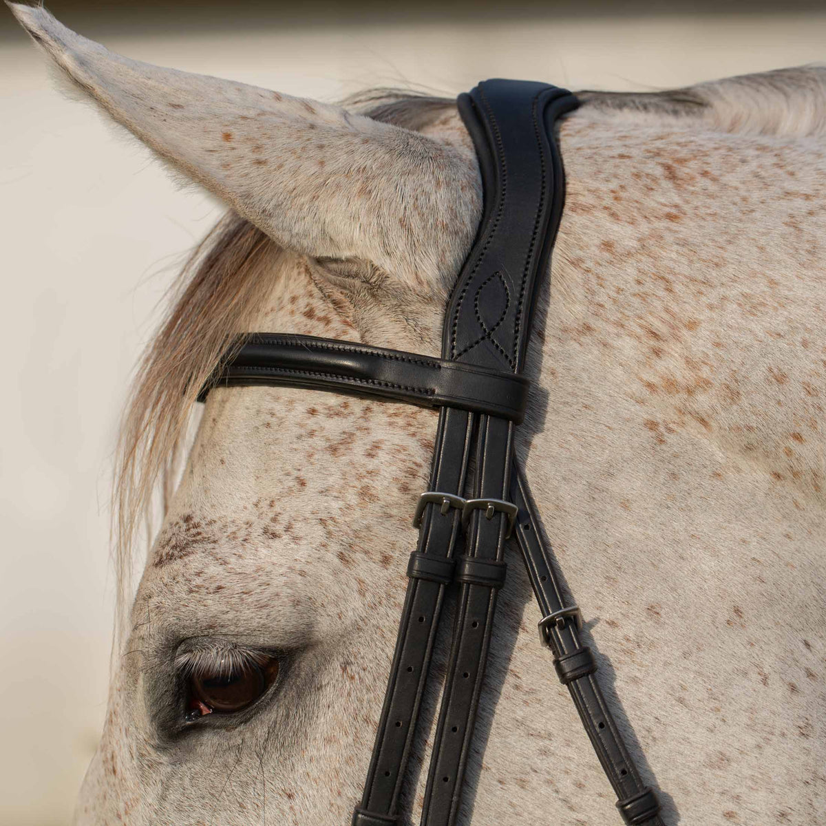 Equinavia Valkyrie Alternative Flash Bridle with Rubber Reins image #2