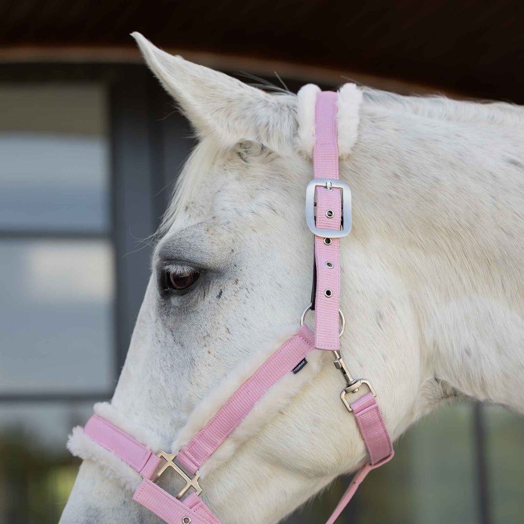 Equinavia Valkyrie Ultra Fleece Breakaway Halter image #5