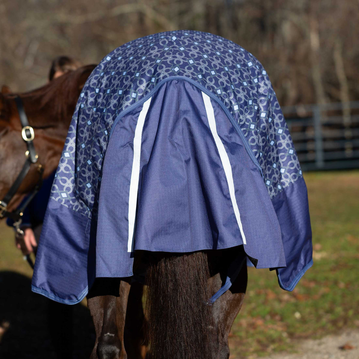 Equinavia Arktis Regular Neck Mid Weight Turnout Blanket 200g image #6
