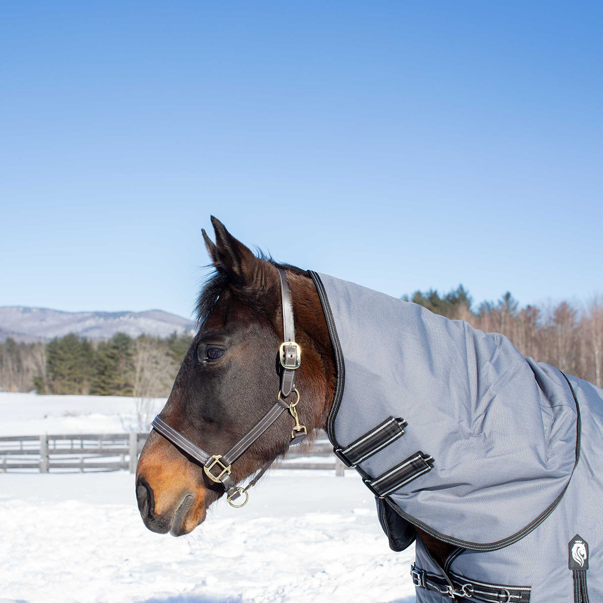 Equinavia Arktis Turnout Neck Cover 200g image #1