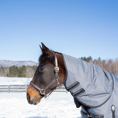 Equinavia Arktis Turnout Neck Cover 200g image #1
