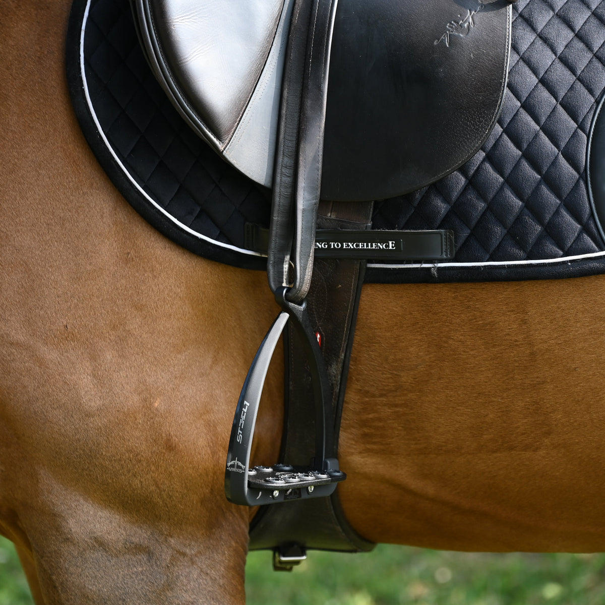Veredus Vita Stirrup Steel1 Dark image #20