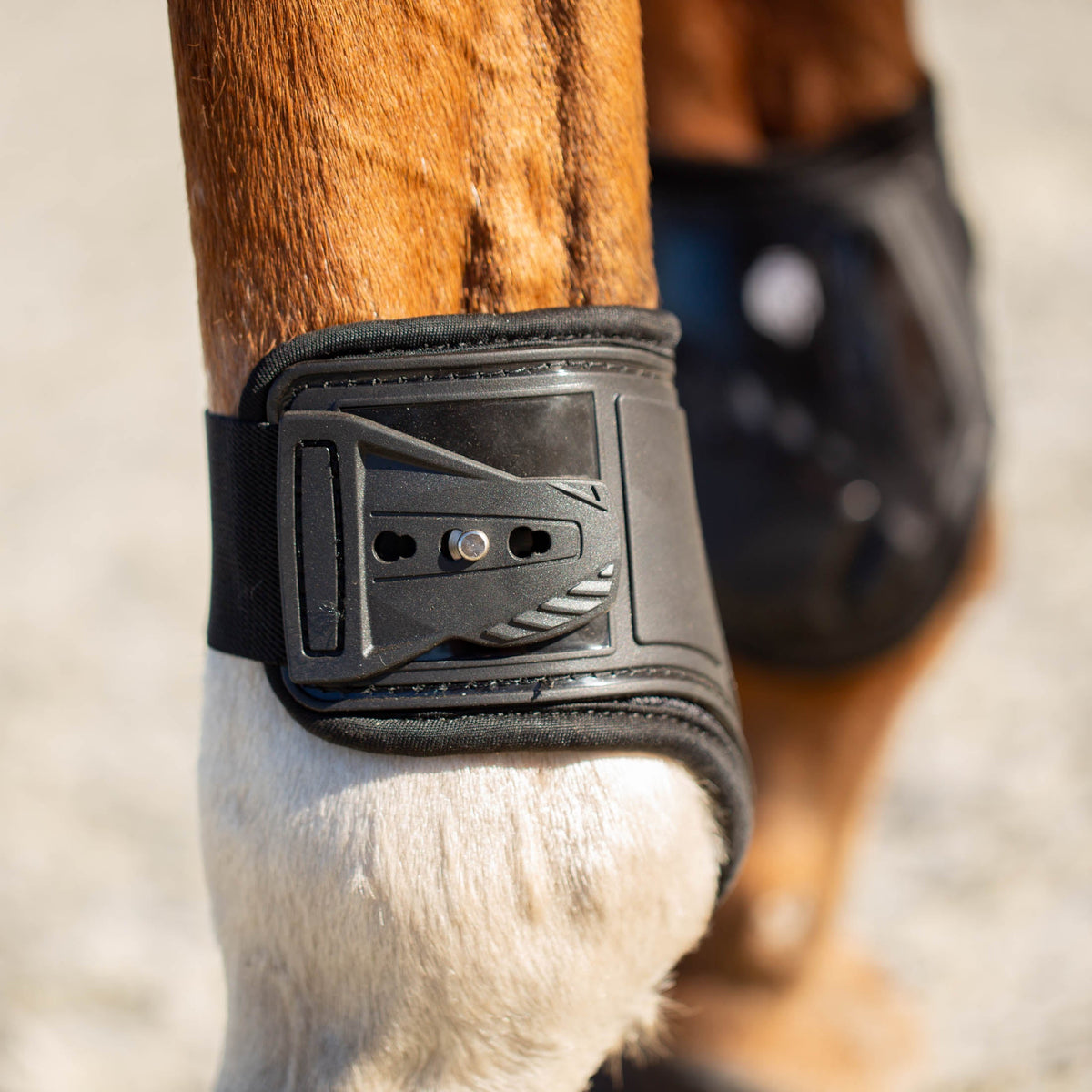 Equinavia Asgardian Ankle Boots image #5