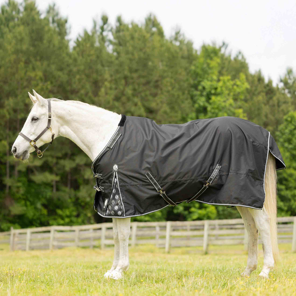 Equinavia Norse Fleece Lined Turnout Blanket image #1