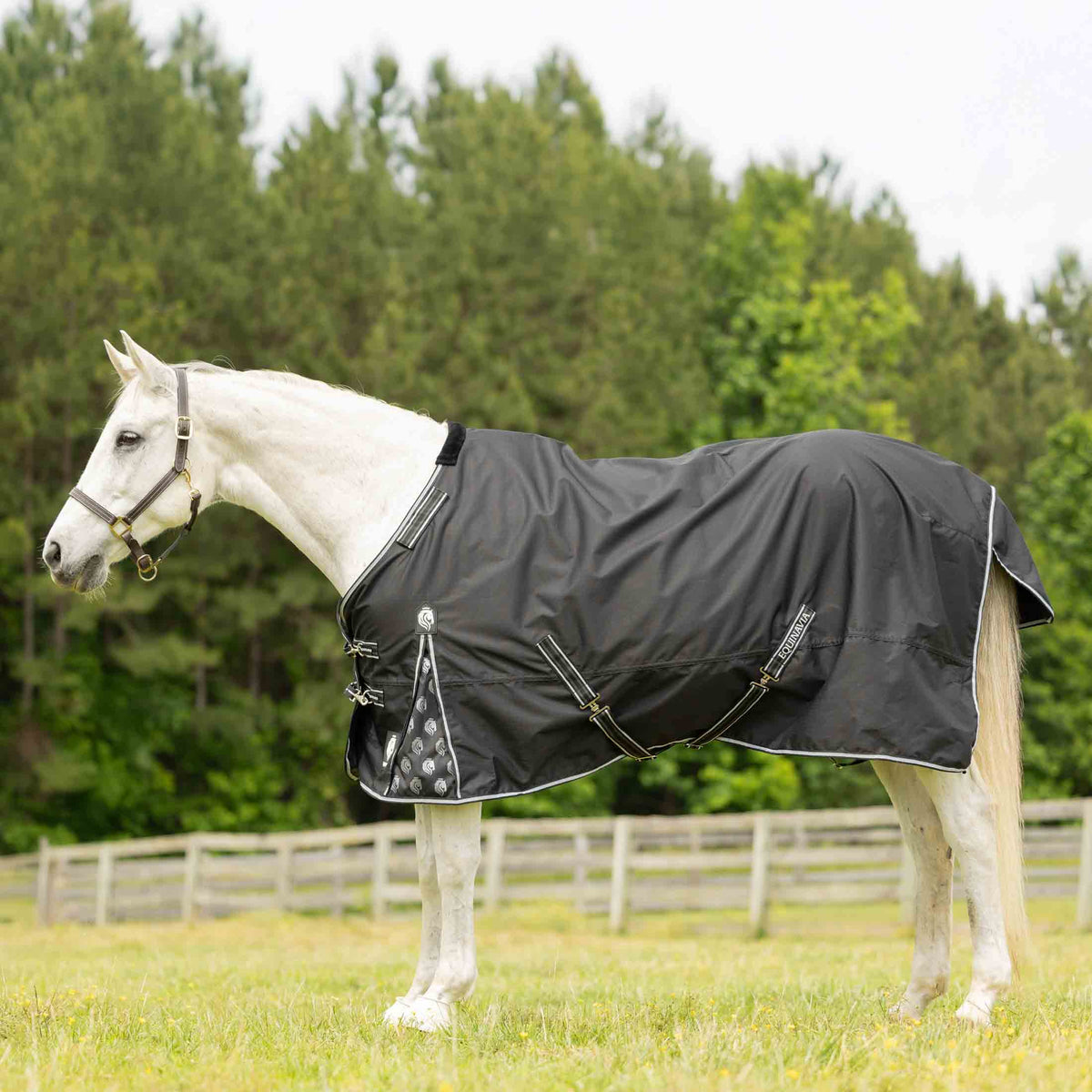 Equinavia Norse Fleece Lined Turnout Blanket image #1