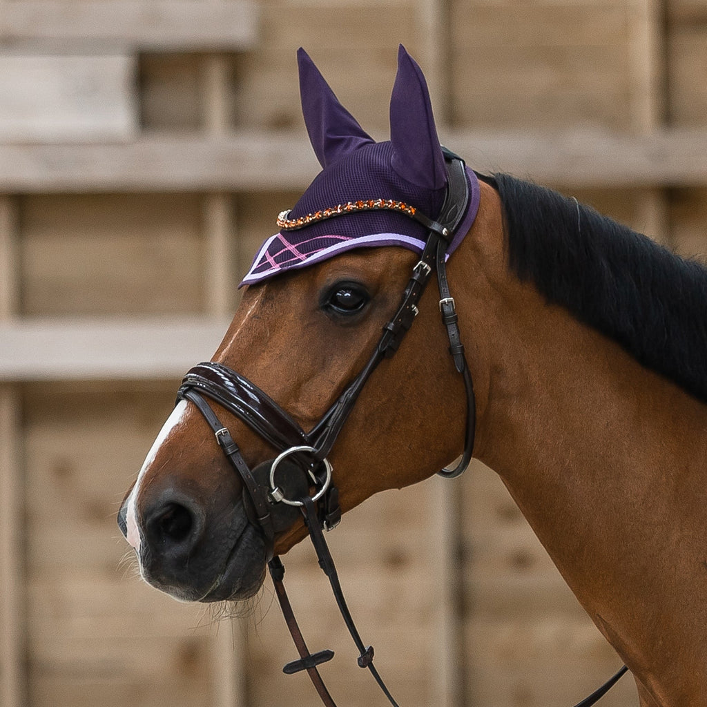 Horze Clermont Ergonomic Crystal Bridle image #3