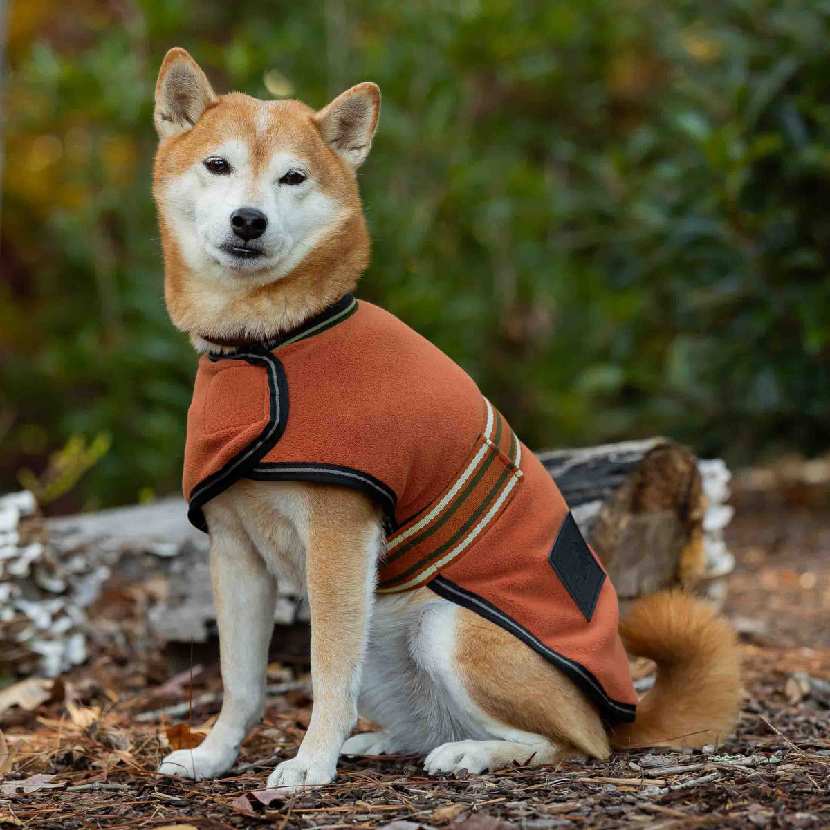 Equinavia Norse Fleece Dog Coat image #2
