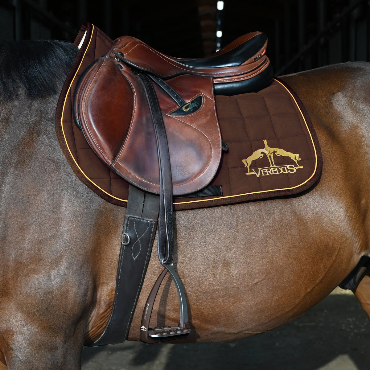 Veredus Vita Stirrup Steel1 image #14