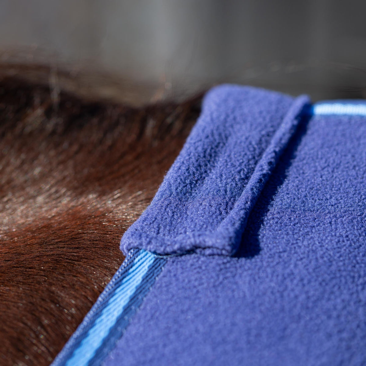 Equinavia Norse Fleece Cooler image #2