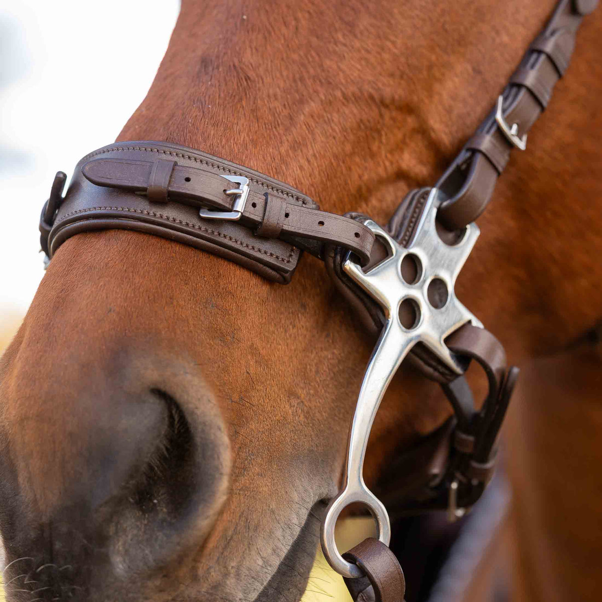 Equinavia Saga Hackamore Noseband image #5