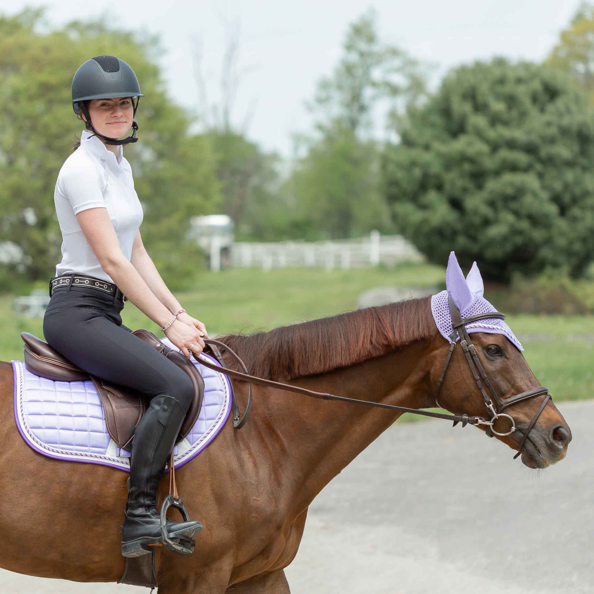 Equinavia Copenhagen Stay Put All Purpose Saddle Pad image #3