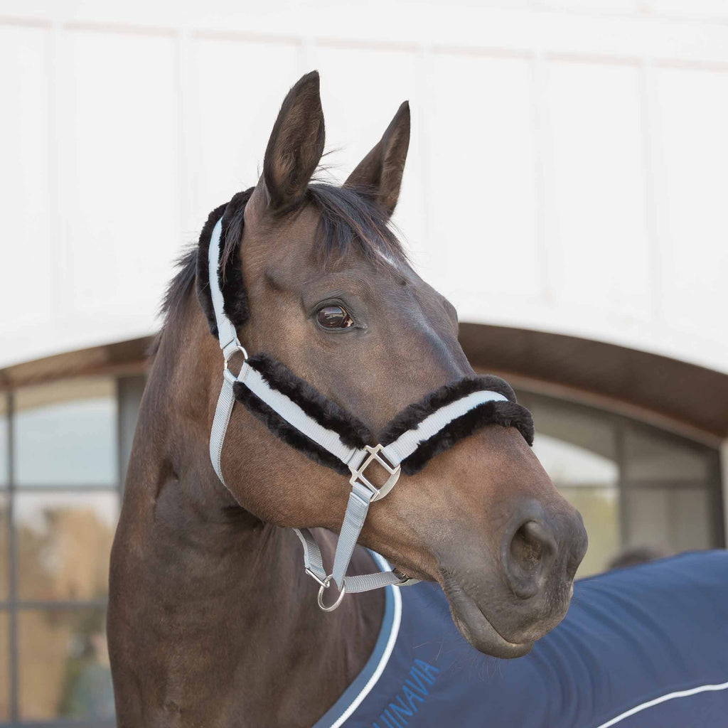 Equinavia Valkyrie Ultra Fleece Breakaway Halter image #3