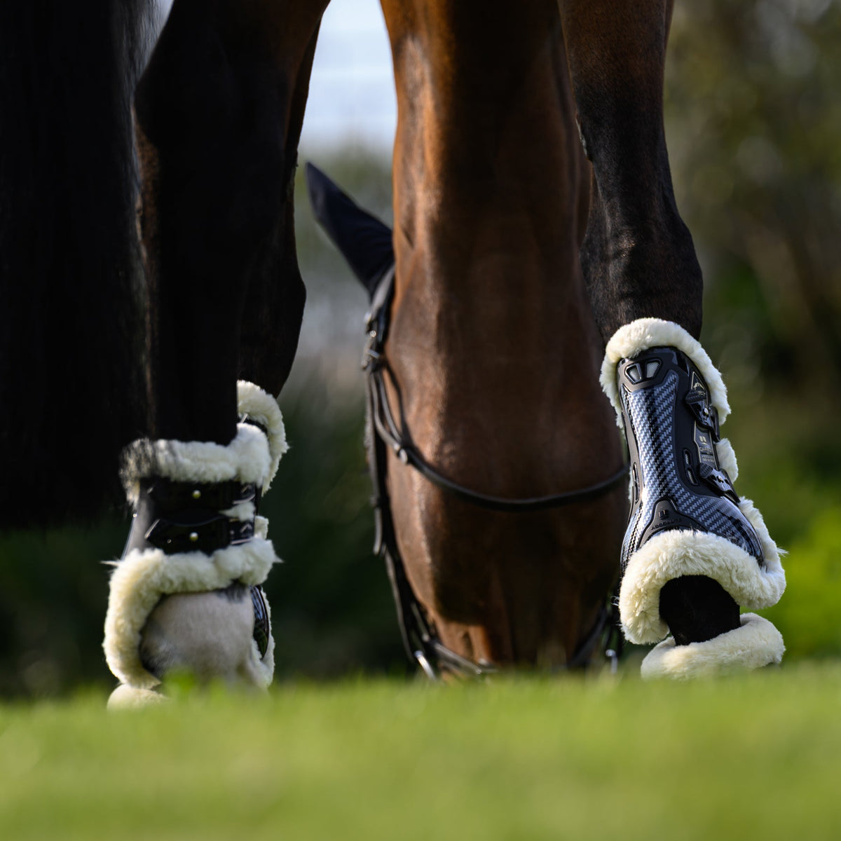 Veredus Carbon Gel Absolute Save the Sheep Rear Fetlock Boots image #7