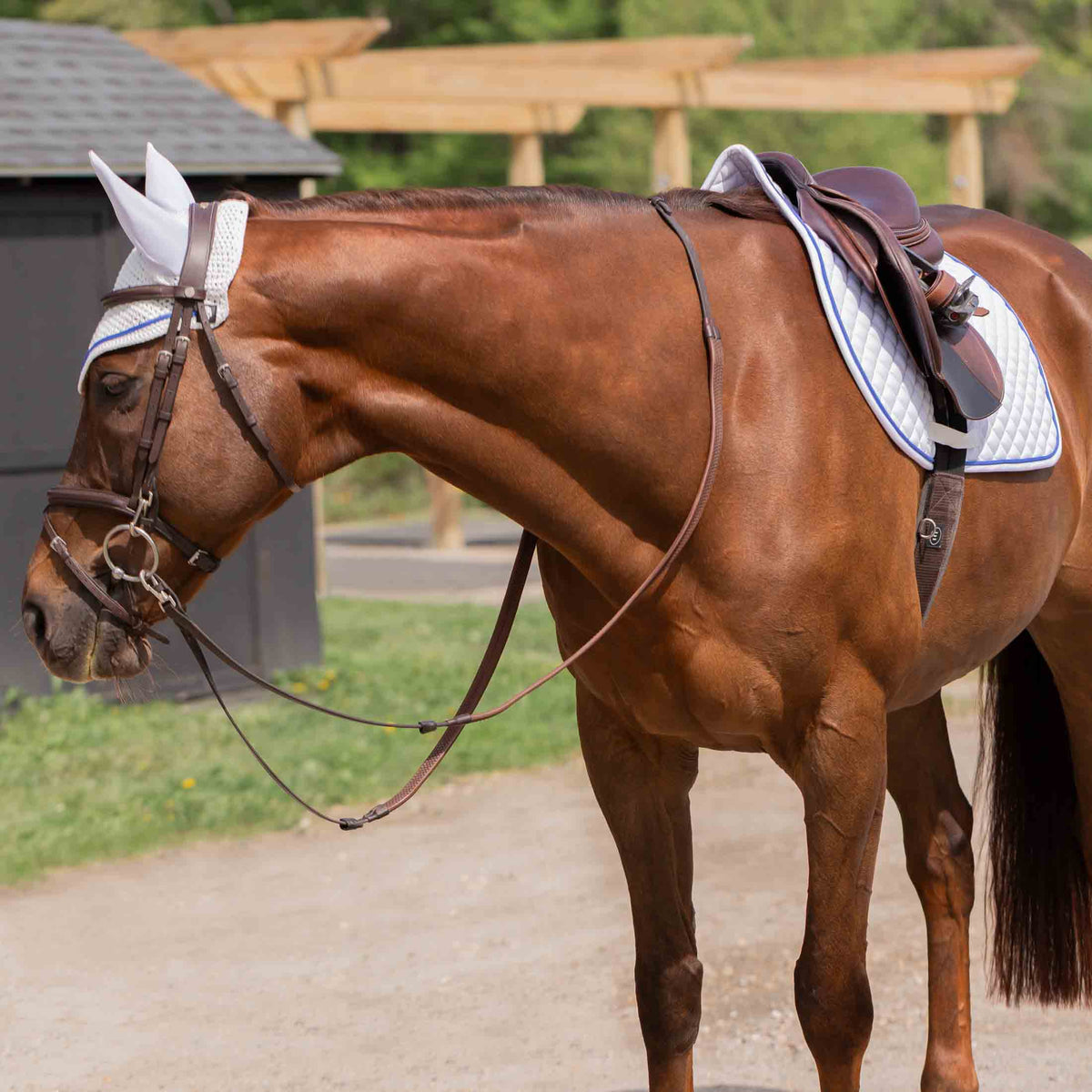 Equinavia Voss Dressage Saddle Pad and Bonnet Set image #3