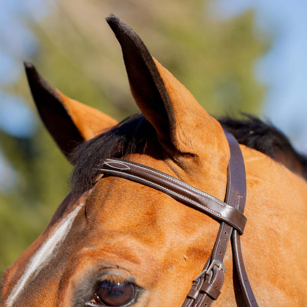 Equinavia Valkyrie Classic Wide Noseband Hunter Bridle with Reins image #3