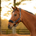 Equinavia Saga Fleece Padded Breakaway Halter image #1