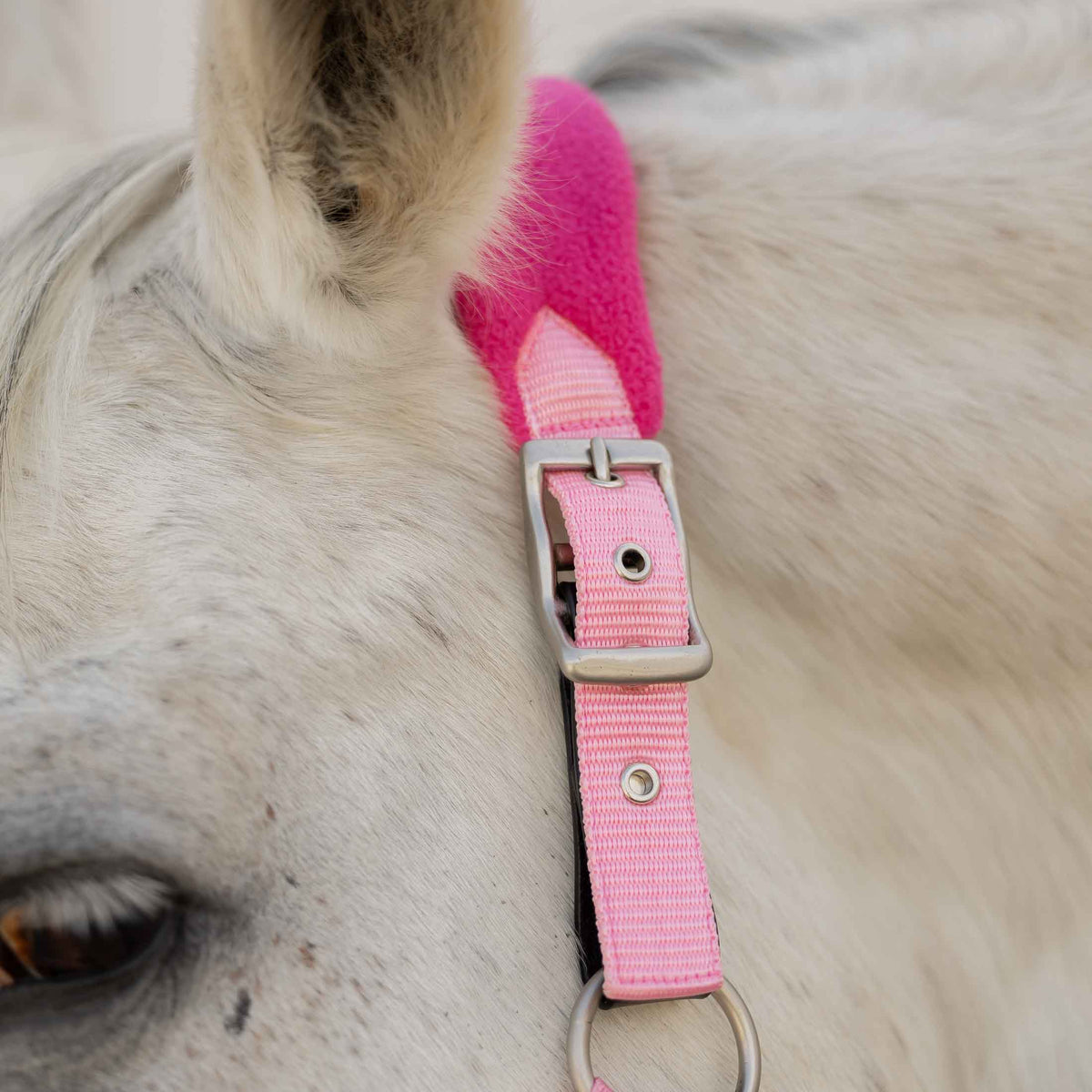 Equinavia Saga Fleece Padded Breakaway Halter image #2