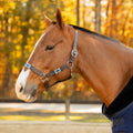 Equinavia Siri Polo Leather Halter image #1