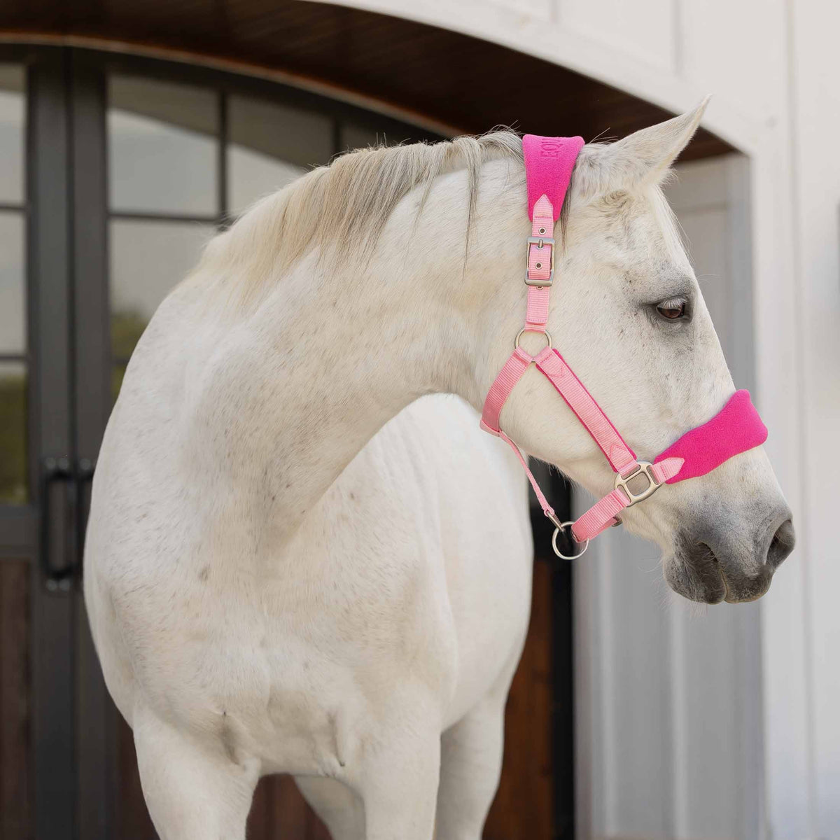 Equinavia Saga Fleece Padded Breakaway Halter image #4