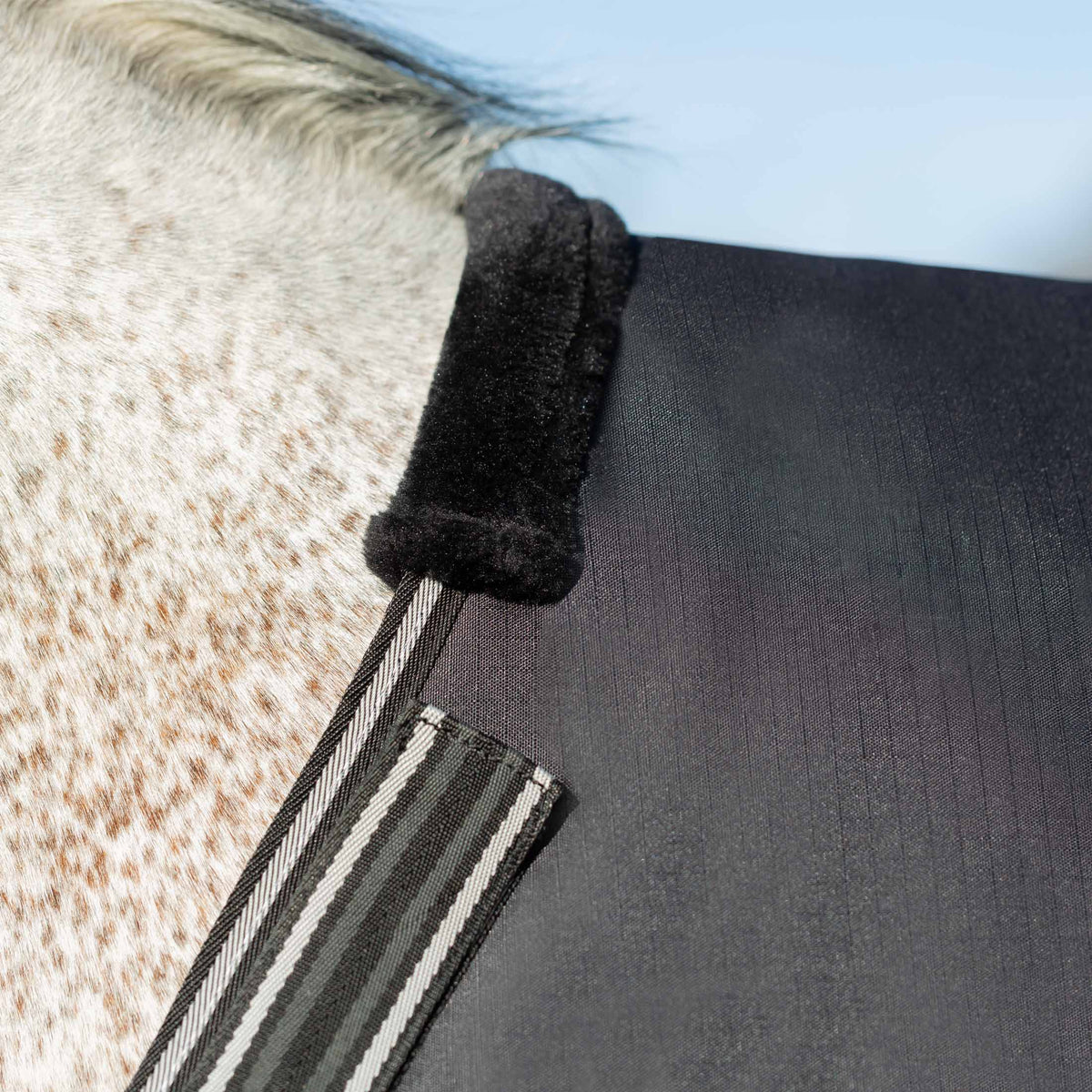 Equinavia Norse Mid Weight Turnout Blanket 200g image #5