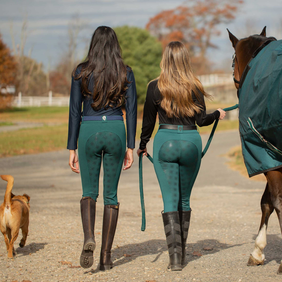 Equinavia Astrid Womens Winter Full Seat Breeches image #7