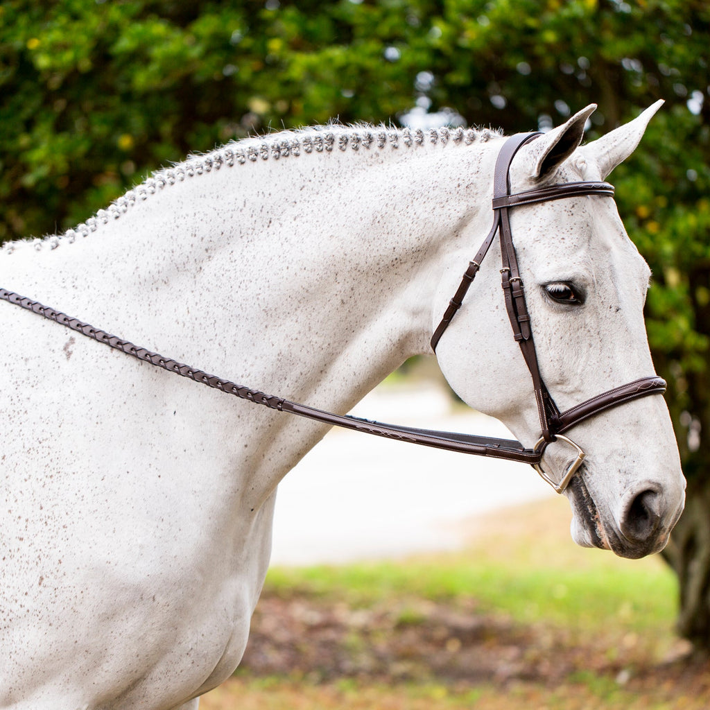 Equinavia Valkyrie Fancy Stitched Hunter Bridle & Reins image #4