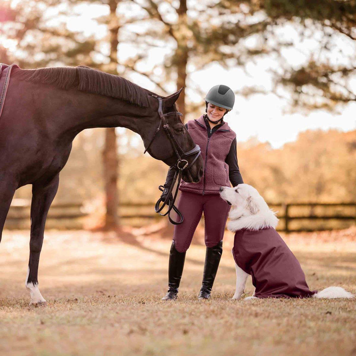 Equinavia Emma Womens Teddy Fleece Vest image #5