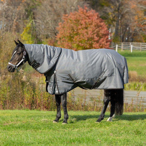 Equinavia Arktis Turnout Neck Cover 200g image #2