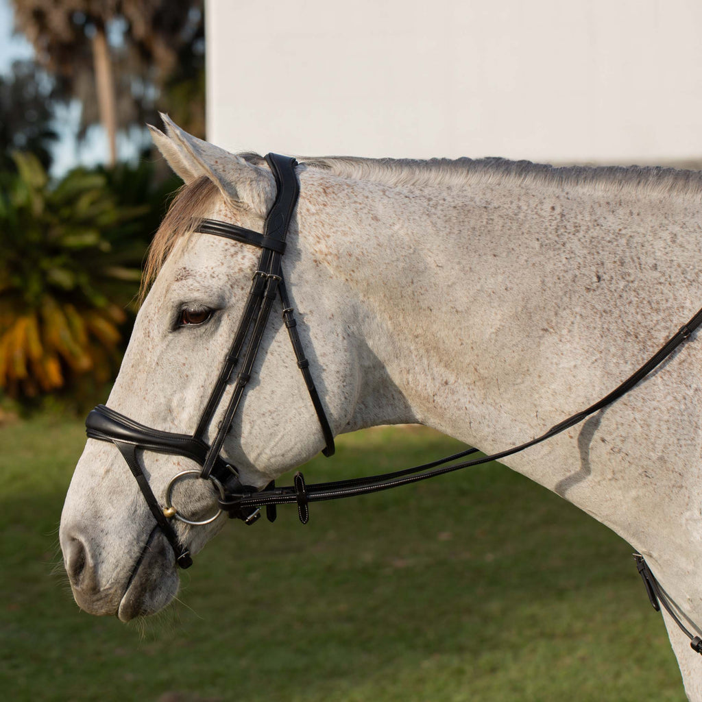 Equinavia Valkyrie Alternative Flash Bridle with Rubber Reins image #1