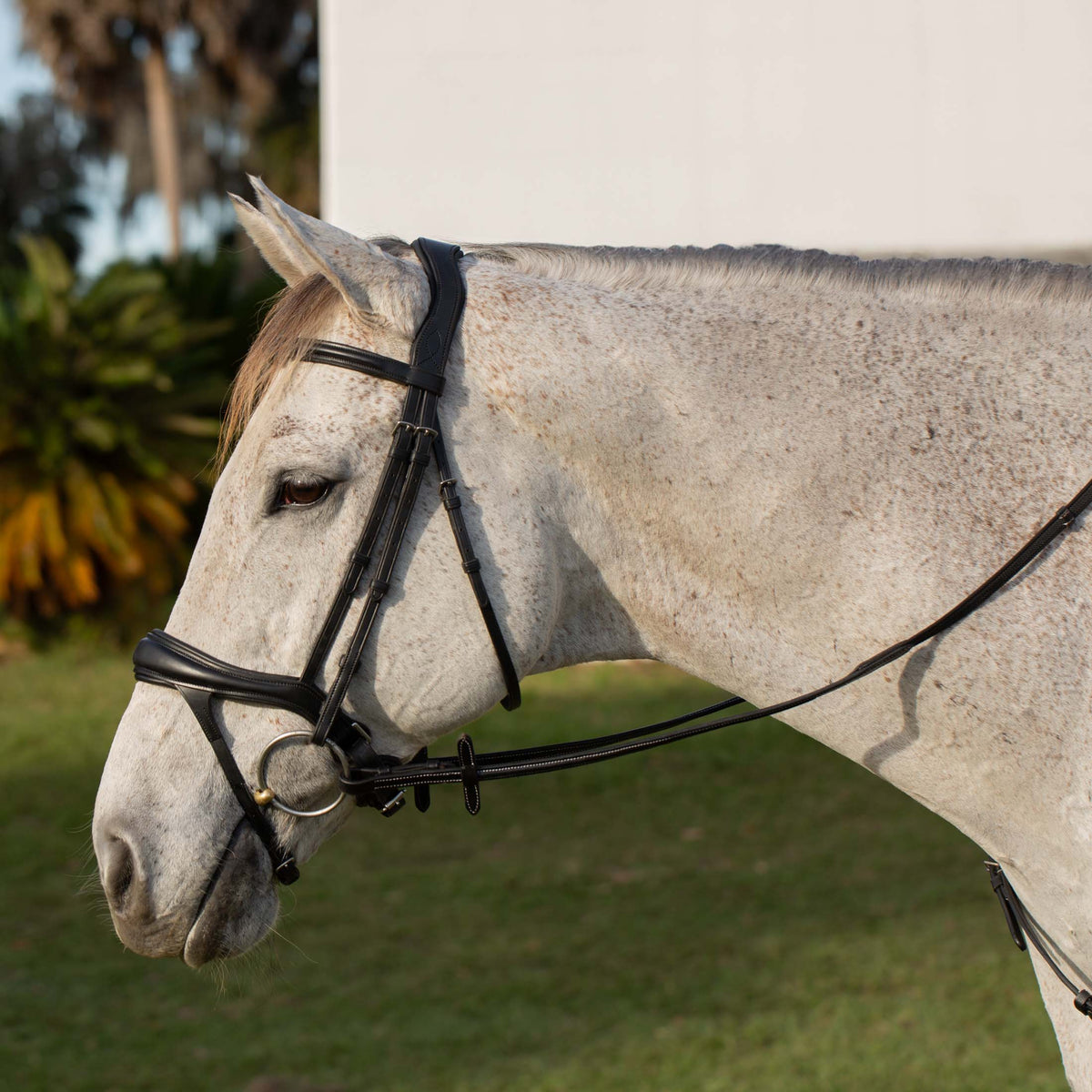 Equinavia Valkyrie Alternative Flash Bridle with Rubber Reins image #1