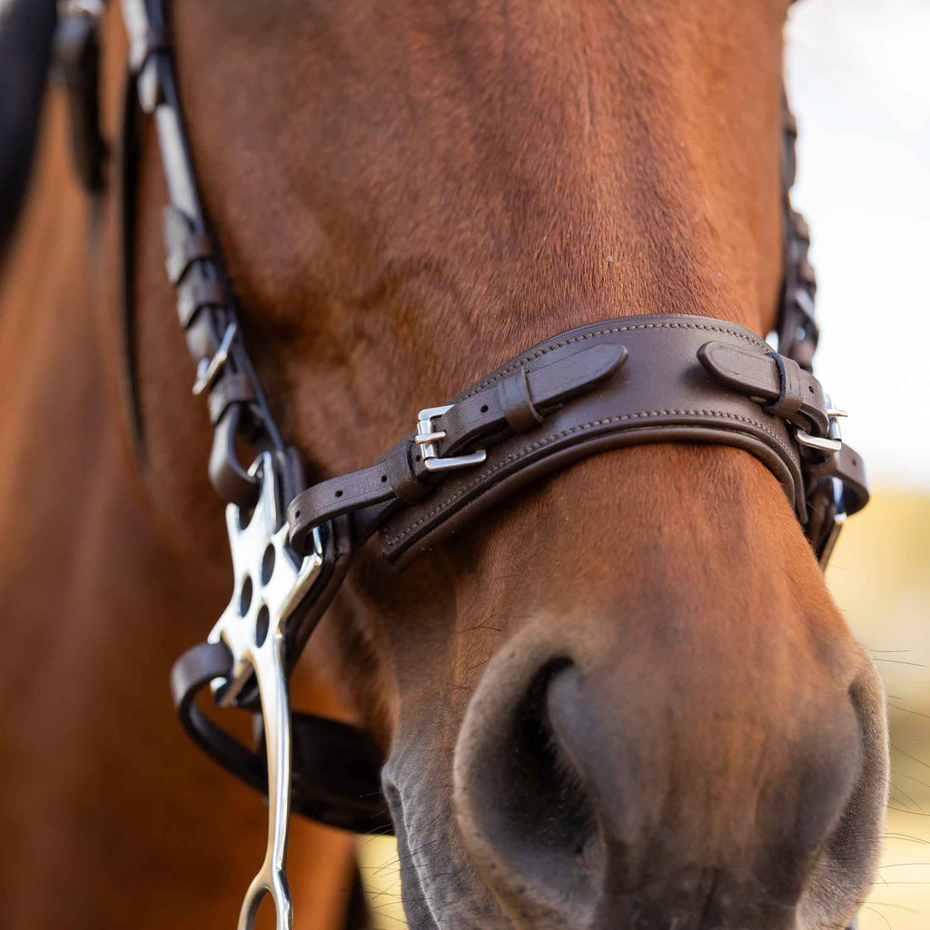 Equinavia Saga Hackamore Noseband image #6