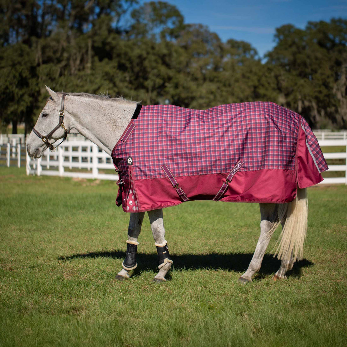 Equinavia Arktis Regular Neck Turnout Sheet image #3