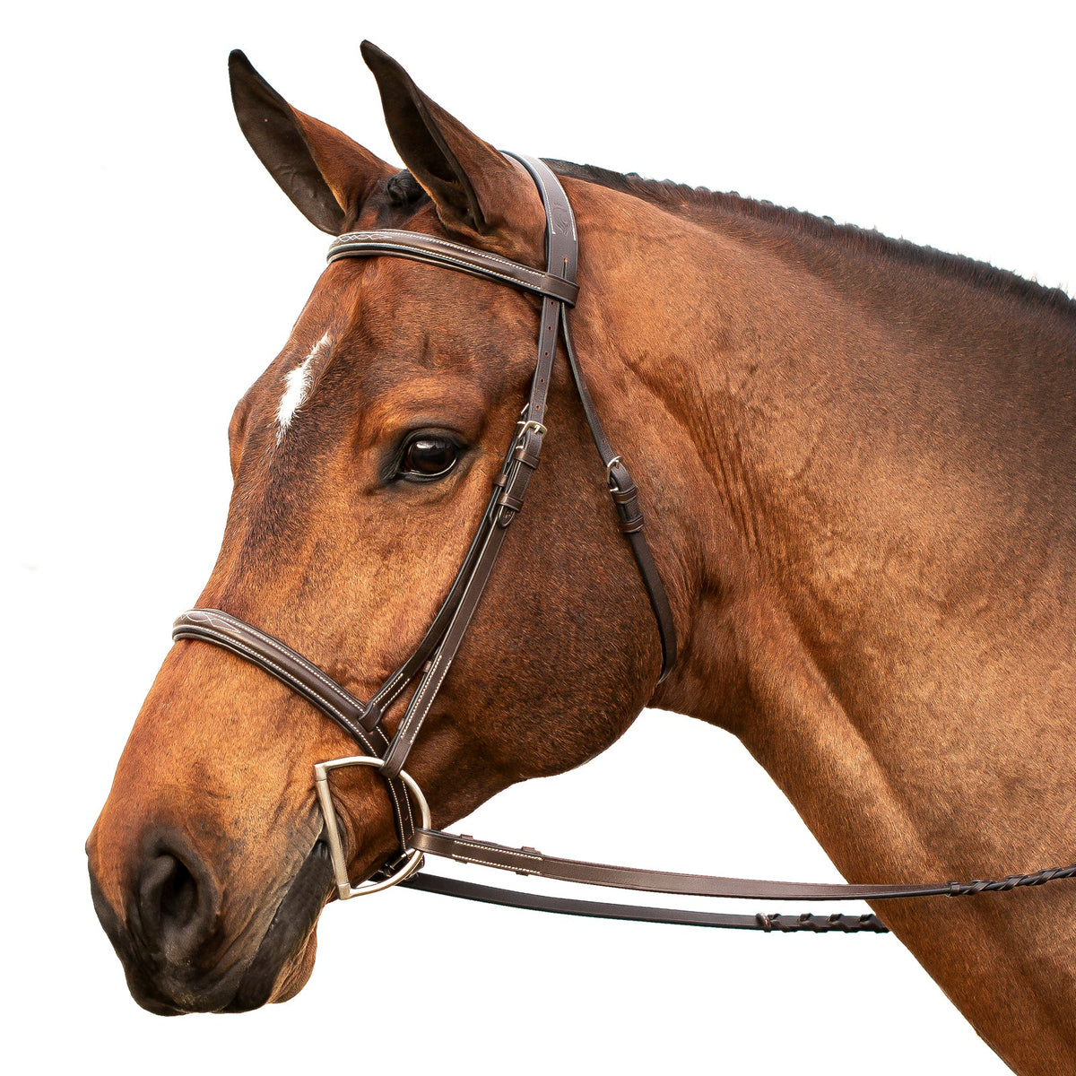 Equinavia Saga Fancy Stitched Hunter Bridle & Reins image #5