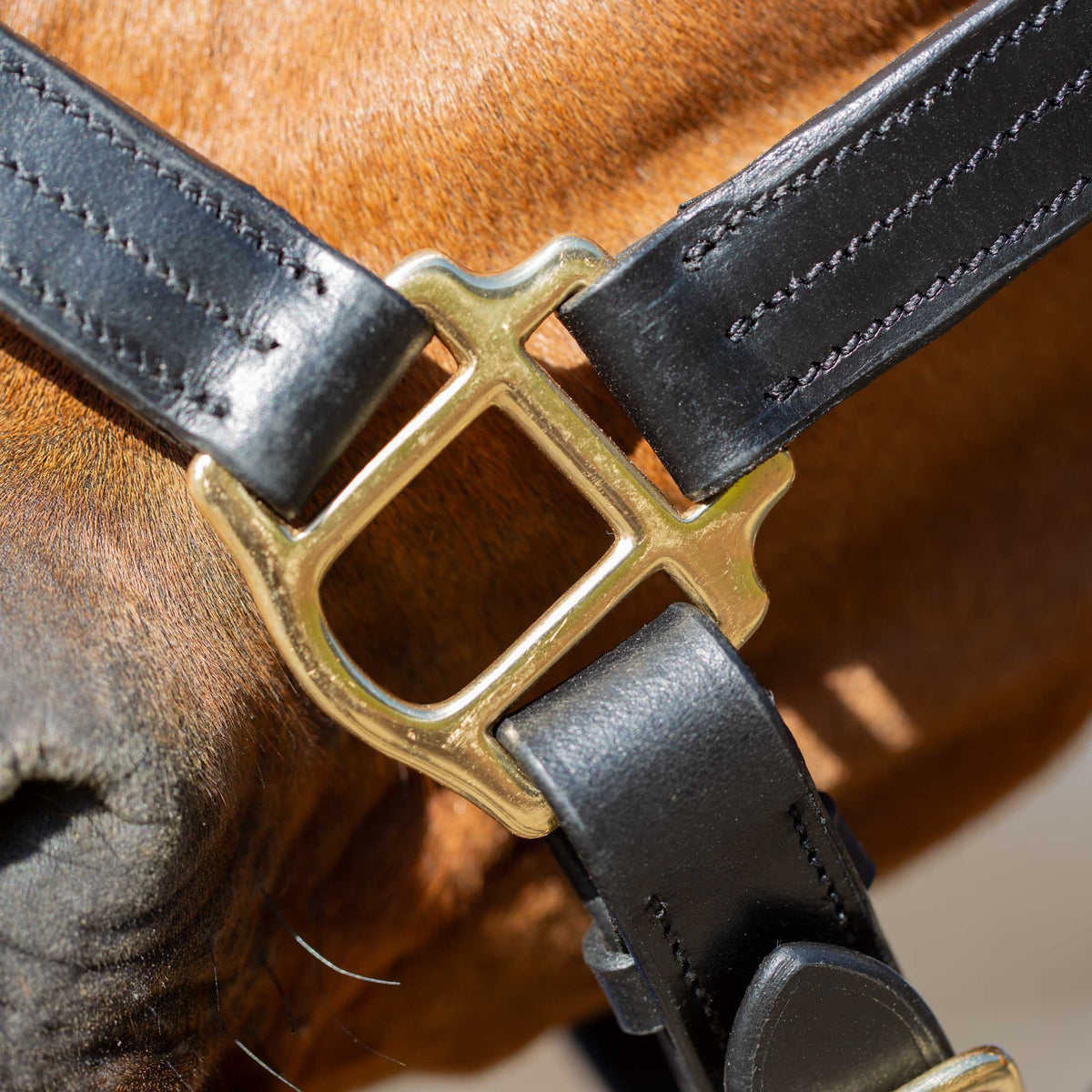 Equinavia Valkyrie Classic Leather Halter image #7