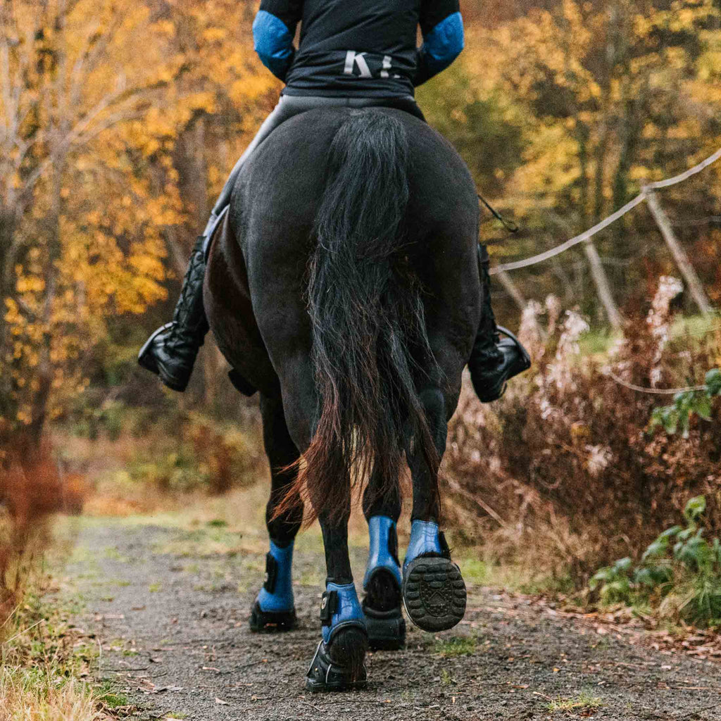 Equine Fusion Dampening Hoof Boot Pads 2.0 Pair image #3