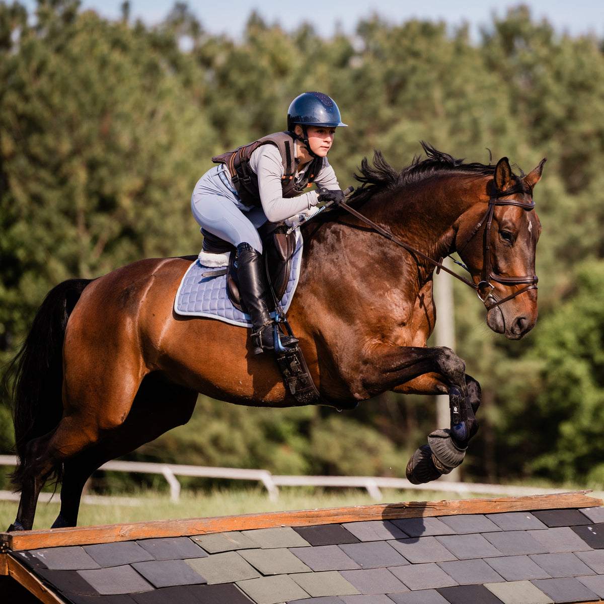 Equinavia Crown Glossy Mips® Riding Helmet image #4